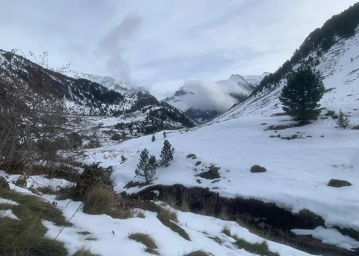 Apartment Flor De Hielo *